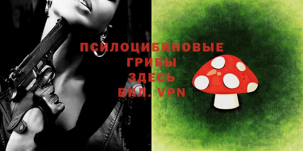 ECSTASY Алексеевка