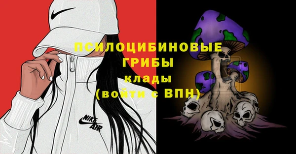 ECSTASY Алексеевка
