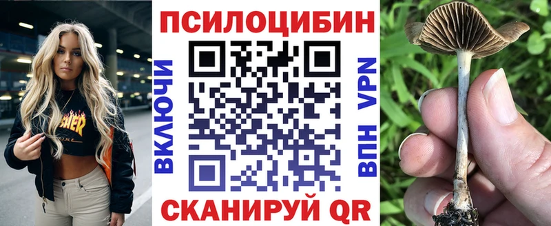 Галлюциногенные грибы Magic Shrooms  Байкальск 